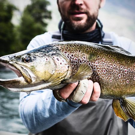 Yelcho En La Patagonia Villa Chaitén Eksteriør billede