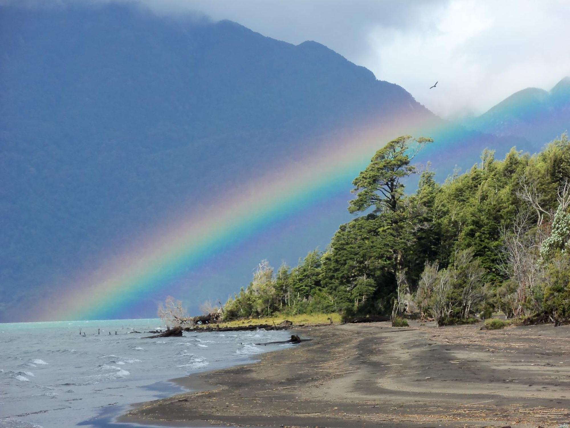 Yelcho En La Patagonia Villa Chaitén Eksteriør billede