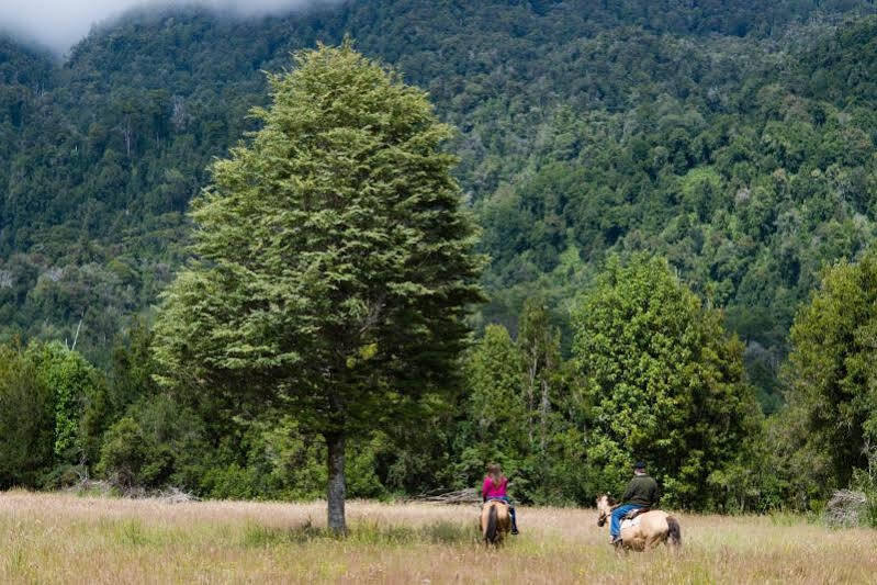 Yelcho En La Patagonia Villa Chaitén Eksteriør billede